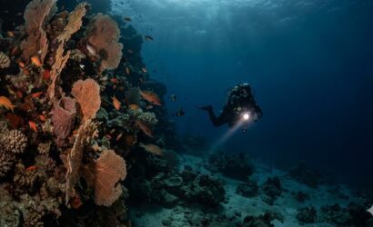 PADI Advanced Open Water Hurghada