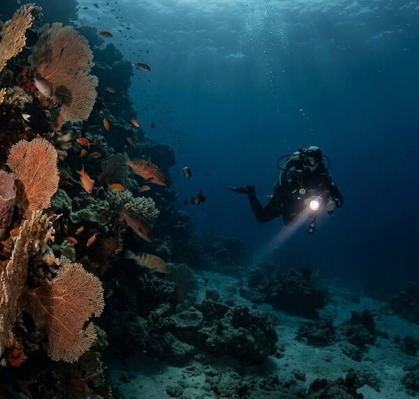 PADI Advanced Open Water Hurghada