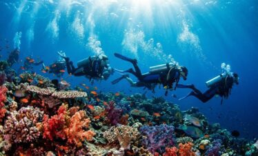 Experiencing drift diving in Hurghada